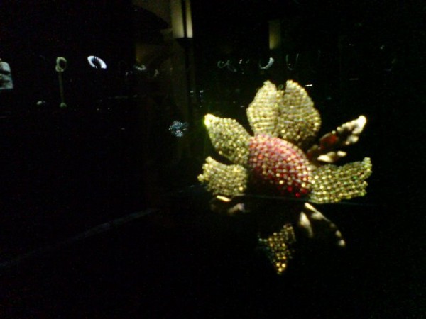 Les Arts Decoratifs Les Arts Decoratifs